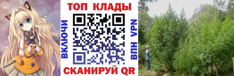 Как найти закладки Сасово ГАШИШ A-PVP Амфетамин Каннабис NBOMe Меф