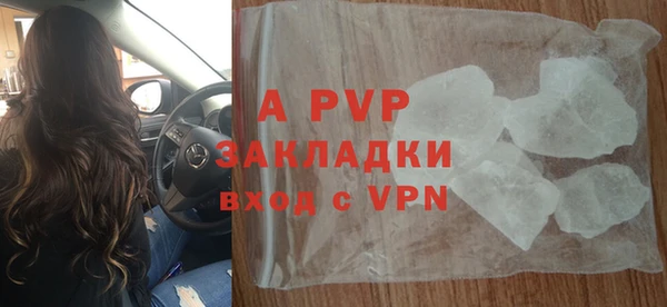 PSILOCYBIN Аркадак