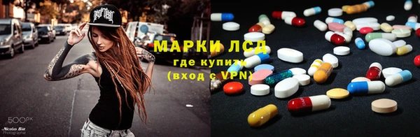 PSILOCYBIN Аркадак