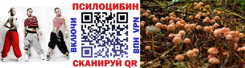 omg зеркало  Сасово  Псилоцибиновые грибы Magic Shrooms  продажа наркотиков 